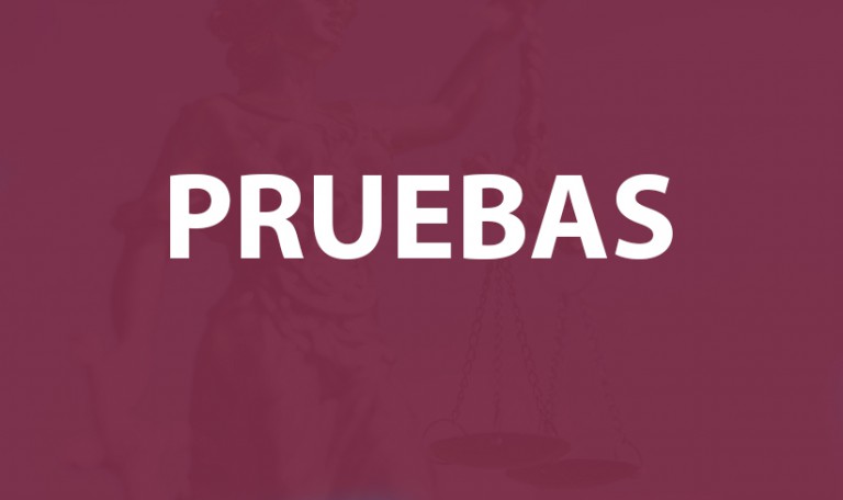 ARTÍCULO: PARTE FINAL DE LA DECLARACIÓN DEL 24 DE FEBRERO DE 2011 DE ALIAS JUANCHO DIQUE